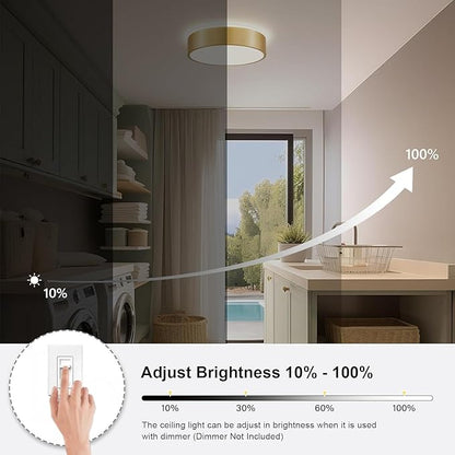 Gold Flush Mount Ceiling Lights, Modern Dimmable 5CCT Close to Lighting Fixture, 2700K-6000K LED Round Ceiling Lamp for Kitchen Hallway Bedroom Laundry Room Entryway Bathroom-11.8in