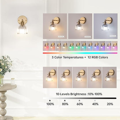 Shenmoyl Vintage Battery Operated Wall Sconce with Transparent Tulip Glass Lampshade Rechargeable Battery Powered Wall Light with Remote Control for Bedside Bedroom Doorway
