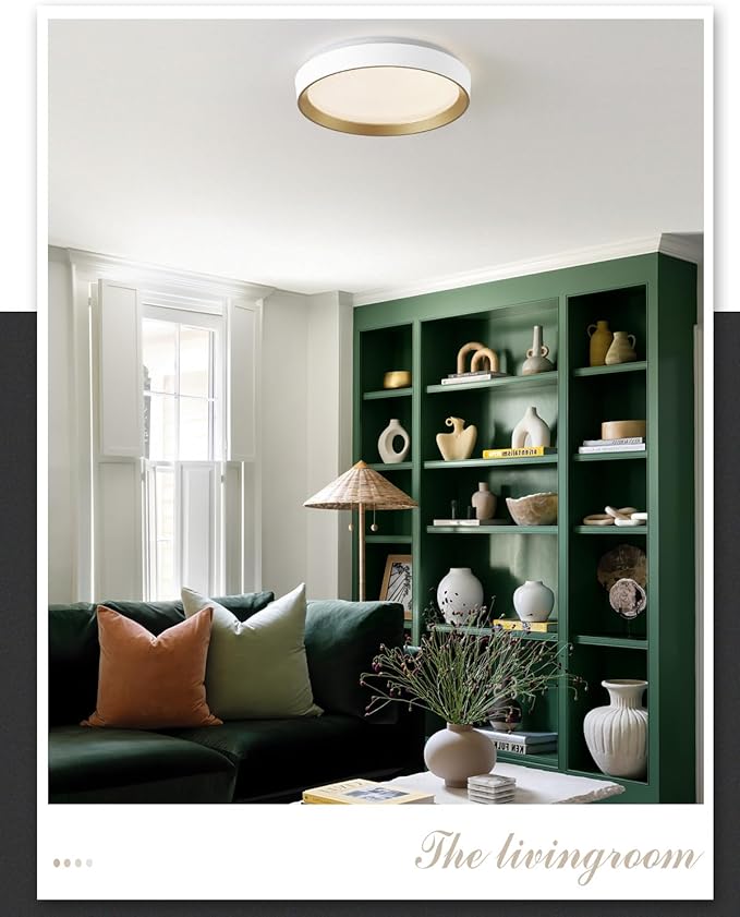 ANYLOVE 10 Inch Modern Flush Mount Ceiling Lights,White Gold Plastic Round Ceiling Light,Dimmable 3000K,3500K,4000K,5000K,6000K,for Living Room,Dining Room,Bedroom,Kitchen (White and Gold, 10 Inch)