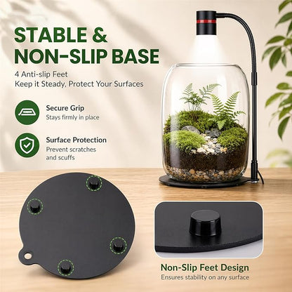 Glass Plant Terrarium with LED Grow Light(H:8.46" D:5.9"), Desktop Terrarium for Venus Fly Trap, Moss & Succulents, Borosilicate Indoor Planter for Home Office Decor