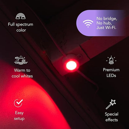 LIFX 25ft Smart Outdoor Permanent Light Extension, RGBW Supercolor, Wi-Fi, Compatible with Alexa, Google, Add-On for 50ft Starter Set, Cuttable & Expandable to 200ft, LFXSL50-30/LED/25EXT