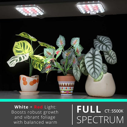 Full Spectrum LED Grow Light for Indoor Plants, 2 Panels 10W with 6/12/16h Timer Dimmable Plant Lights for Flower Veg Plant Growth USB, Daylight White, 2-Pack