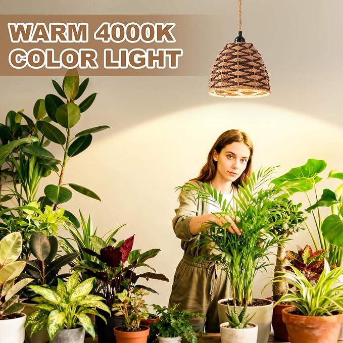 grow lights for indoor plants, full spectrum, automatic timer and 15FT power cord, 30W hanging growth lamp, 4000K plant light used for planting large tall plants, Ficus microcarpa, flowers, greenhouse