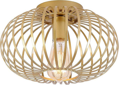 Fivess Lighting Modern Gold Flush Mount Light Fixture Metal Cage Single Semi Flush Mount Ceiling Light for Hallway Bedroom Kitchen Entryway Farmhouse