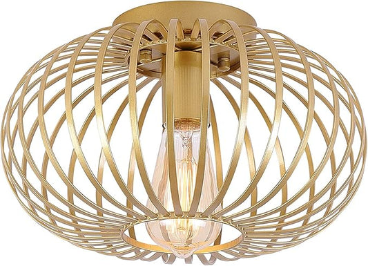 Fivess Lighting Modern Gold Flush Mount Light Fixture Metal Cage Single Semi Flush Mount Ceiling Light for Hallway Bedroom Kitchen Entryway Farmhouse