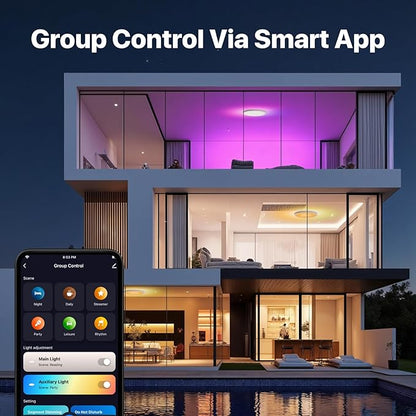 1 Pack Smart RGB Ceiling Light with Remote, 24W 2640LM, 12 Inch LED Flush Mount Ceiling Light Works with Alexa Google Home, Dimmable&2700K-6500K, Low Profile Wired Light for Bedroom Kitchen
