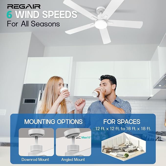 Ceiling Fan with Light 52-Inch, Remote Control Reversible DC Motors, 3CCT Dimmable Timer Noiseless, White Ceiling Fan for Bedroom Living Room, Indoor&Outdoor ETL Listed