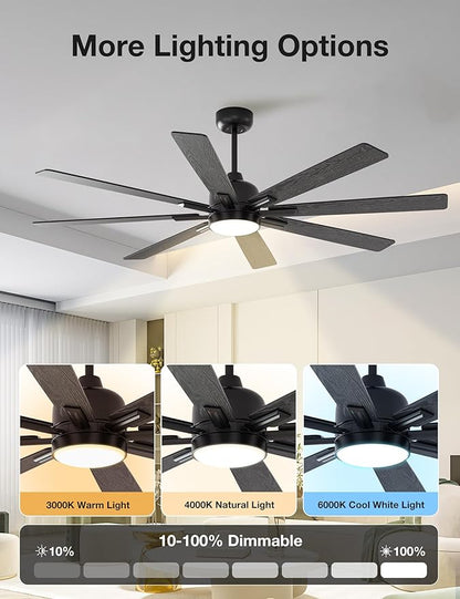 warmiplanet Ceiling Fans with Lights and Remote Control, 62-Inch, Reversible Silent DC Motor, 6 Speeds, 3 Color Dimmable LED Light, Timer, Black, 9-Blades