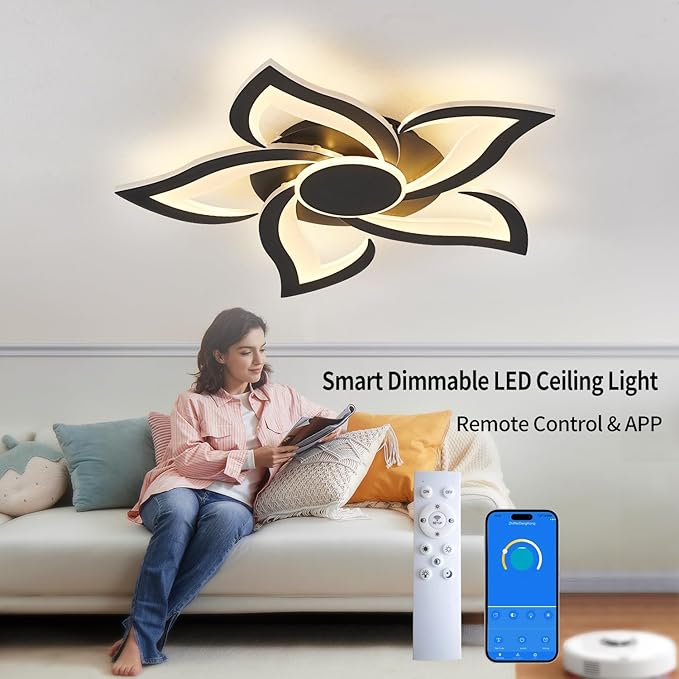 24" Modern Geometric Ceiling Light Fixture, Black Dimmable 3 Colors LED Close to Ceiling Light Fixtures with Remote, Low Profile Flush Mount Ceiling Light for Kitchen, Living Room