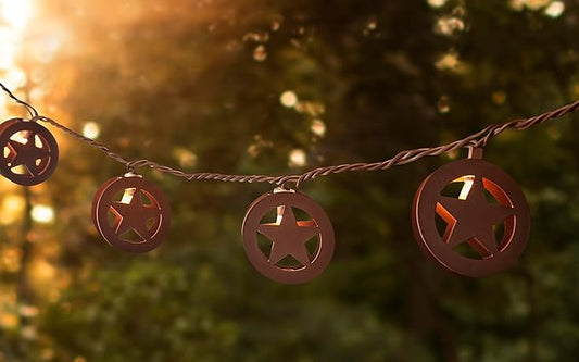 Litex Industries: 8.8-ft Plug-in Bronze Outdoor Star String Light with 10 White-Light Incandescent Mini Bulbs