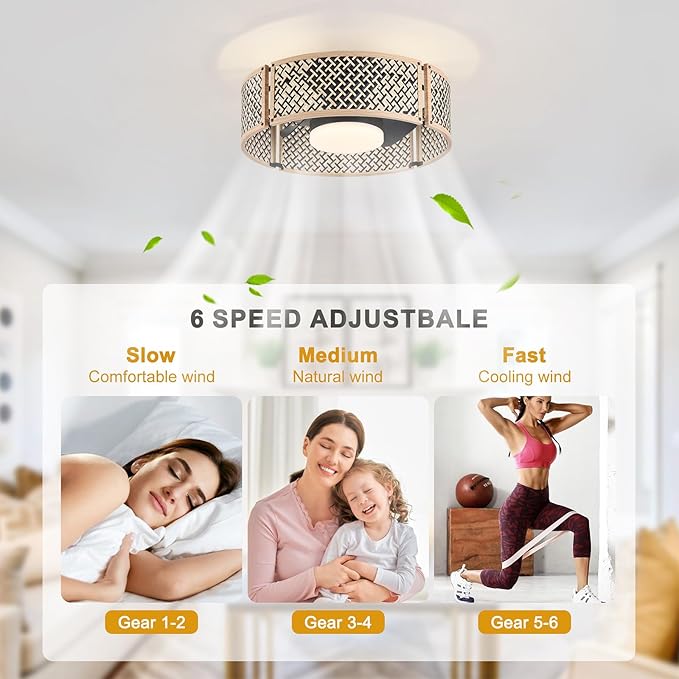 Ganeed 20" Boho Caged Fandelier with Lights, 18W Dimmable LED Rattan Ceiling Fan with Lights and Remote Control, Enclosed 6 Speeds/RGB Low Profile Bamboo Fan Light for Bedroom, Living Room, Kitchen