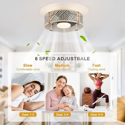 Ganeed 20" Boho Caged Fandelier with Lights, 18W Dimmable LED Rattan Ceiling Fan with Lights and Remote Control, Enclosed 6 Speeds/RGB Low Profile Bamboo Fan Light for Bedroom, Living Room, Kitchen