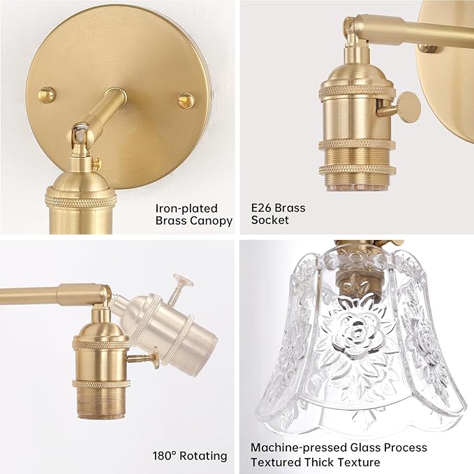 Shenmoyl Vintage Battery Operated Wall Sconces Set of Two, Wireless Battery Powered Rose Wall Sconce with Remote Control, RGB Dimmable LED Wall Light for Bedside Indoor Living Room (Transparent)