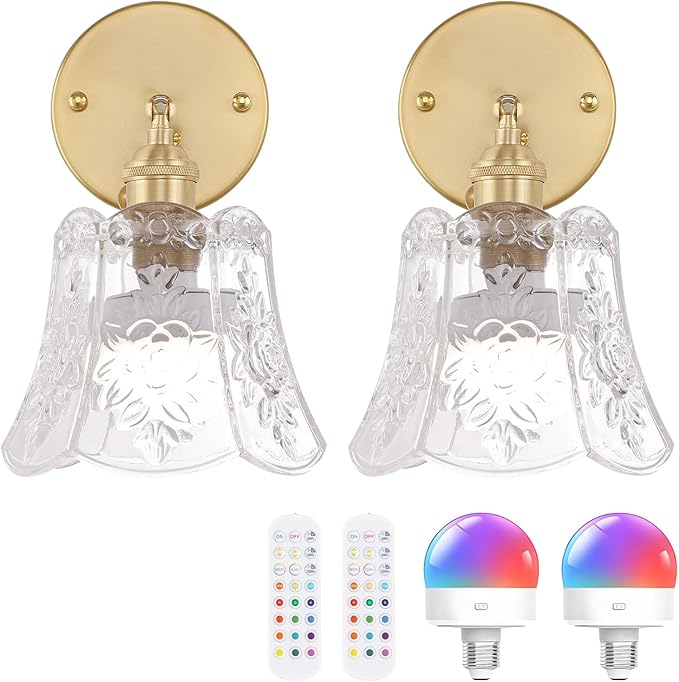 Shenmoyl Vintage Battery Operated Wall Sconces Set of Two, Wireless Battery Powered Rose Wall Sconce with Remote Control, RGB Dimmable LED Wall Light for Bedside Indoor Living Room (Transparent)