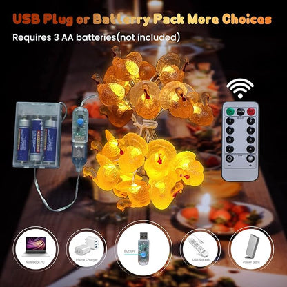 Decorative Fairy Mini Turkey String Lights Autumn Garland Cute Novelty Fall Lights 20 LEDs 8ft USB or Battery Operated for Thanksgiving Centerpiece Decoration Bedroom Wedding Birthday Harvest Decor