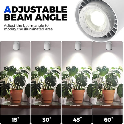 Barrina TR40a Track Grow Light for Indoor Plants, 40W Wall-Mounted Grow Bulbs with Adjustable Beam Angle (15°-60°), 5000K Full Spectrum Plant Spotlight with Timer & 16.4' Power Cord, 1-Pack