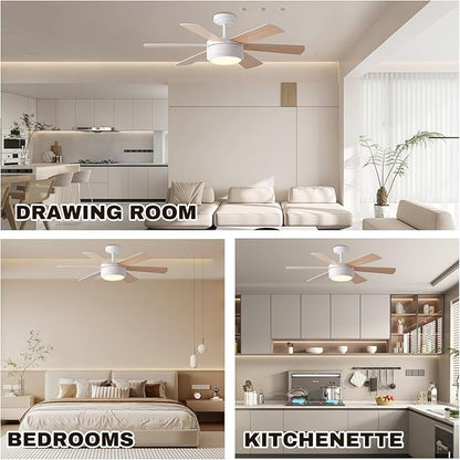 SHOWDI Ceiling Fan with Lights and Remote, 6 Blade App Control Timer Reversible Stepless Brightness and Color Temperature Outdoor Wood Ceiling Fan with Lights (White, 42 Inch)