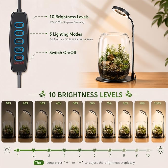 7X Aperture Grow Light for Indoor Plants, Mini Desk Grow Light with Glass Terrarium for Small Plants, Succulents & Moss, Height Adjustable Plant Growing Lamp for Home Office Gift