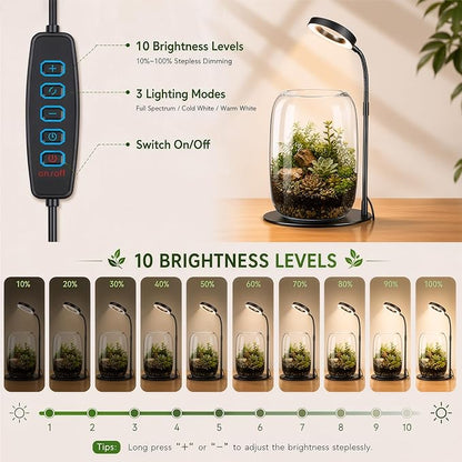7X Aperture Grow Light for Indoor Plants, Mini Desk Grow Light with Glass Terrarium for Small Plants, Succulents & Moss, Height Adjustable Plant Growing Lamp for Home Office Gift