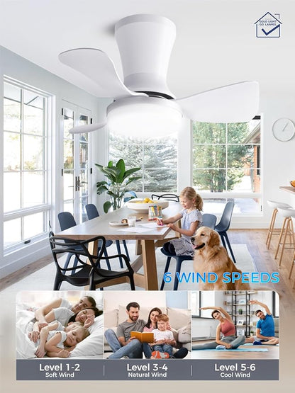LANMEL Ceiling Fan with Light, Modern Flush Mount Low Profile with Remote Control, Reversible, 3CCT Dimmable, Quiet,LED for Bedroom, Living Room, Indoor/Outdoor Patio Use 22 Inch Silver & White