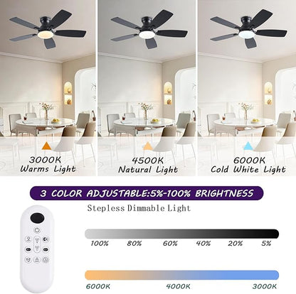 NKPU Ceiling Fans with Lights, Low Profile Ceiling Fan with Light and Remote/APP Control, DC Motor, Noiseless, Flush Mount, 42inch Black Ceiling Fan for Bedroom Indoor/Outdoor Use
