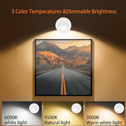 Wireless LED Spotlight Indoor, Rechargeable Uplighting with Remote Dimmable, Tree Spotlight Battery Powered Ceiling for Artwork Picture Painting Plant, 2Pack