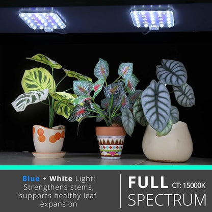 Full Spectrum LED Grow Light for Indoor Plants, 2 Panels 10W with 6/12/16h Timer Dimmable Plant Lights for Flower Veg Plant Growth USB, Bluish White, 2-Pack