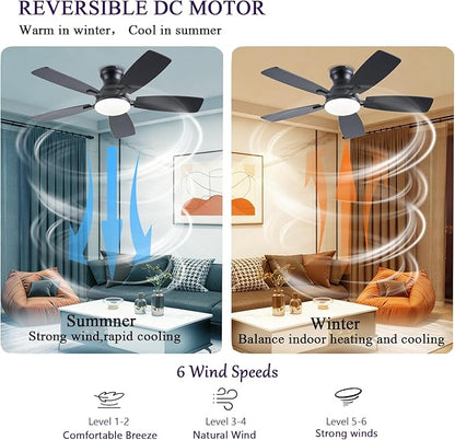 NKPU Ceiling Fans with Lights, Low Profile Ceiling Fan with Light and Remote/APP Control, DC Motor, Noiseless, Flush Mount, 42inch Black Ceiling Fan for Bedroom Indoor/Outdoor Use