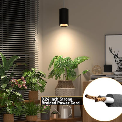 40W Plant Lights for Indoor Growing, Hanging Plant Lamp for Indoor Plants, Large Tall Plant, Garden, Flowers, Greenhouse, with Timer and 15ft Braided Cord, 3000K Full Spectrum, COB Bulb Aluminum Black