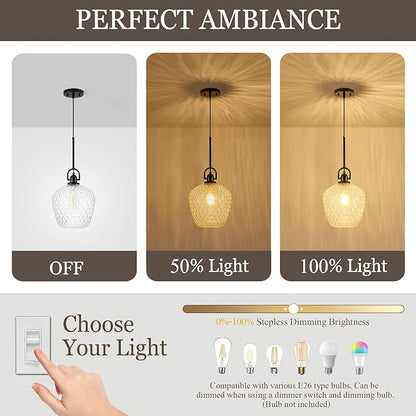 Large Glass Pendant Lights Kitchen Island, 10" 1-Light Black Pendant Light Fixtures with Hammered Glass, Modern Hanging Light for Kitchen Island Dining Room Entryway Foyer