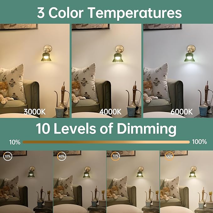 Shenmoyl Vintage Battery Operated Wall Sconces Set of Two, Rechargeable Battery Powered Wall Sconce with Remote Control, Wireless Dimmable LED Light for Bedside Bathroom Living Room (Green Pineapple)