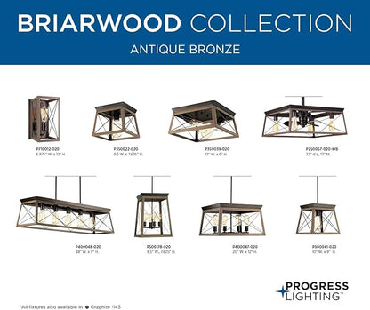 Briarwood Collection 22-Inch 3-Blade AC Motor Farmhouse Ceiling Fan Antique Bronze