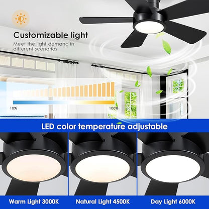Hounberi 40 Inch Flush Mount Ceiling Fan with Lights and Remote, Modern Quiet DC Motor Low Profile Ceiling Fan for Low Ceilings, 5 Reversible Blades, 6 Speeds Dimmable, Indoor Outdoor Bedroom, Black