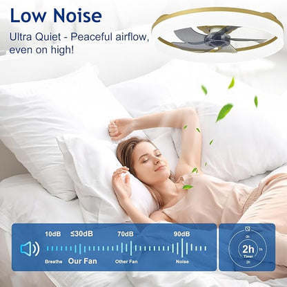 DLLT LED Ceiling Fan with Light: 20" Modern Low Profile Flush Mount Fandelier with App & Remote Control - Dimmable Gold Bladeless Fan Light Fixture for Bedroom Kids Room Living Room