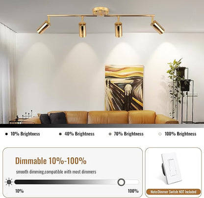 5Color LED Track Lighting Kit 4 Lights Dimmable 48W Track Light,Zoomable15°/24°/36°/45°/60°-2700K/3000K/3500K4000K/5000K,Track Lighting for Accent Task Kitchen,Lumen 4800 (Gold)