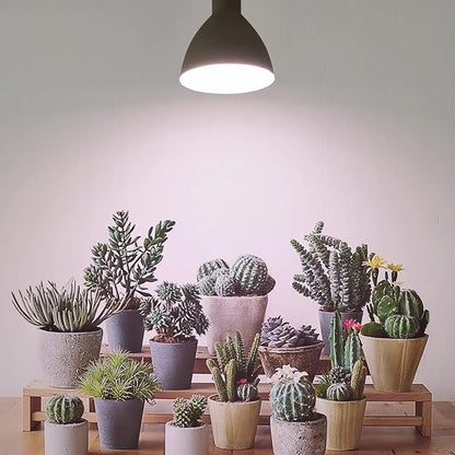 Smart LED PAR38 Grow Light, Dimmable, Sun Mode Dimming - Mimics Real Sunshine, Daily Run Auto Timer, Remote Control - Full Spectrum for Indoor Plant Growth