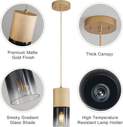 Gold Pendant Light Fixtures, Adjustable Modern Black Pendant Lights for Kitchen Island, Industrial Glass Pendant Lights for Dining Table Hallway Bedroom Living Room,1 Pack