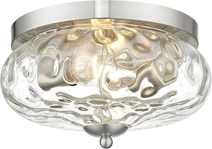 Darkaway Ceiling Light Fixtures Flush Mount Indoor Outdoor Ceiling Light with Water Ripple Glass Shade for Hallway Kitchen Bedroom Porch Living Room Nickel Finish