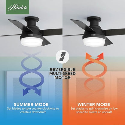 Hunter 44 inch Indoor Ceiling Fan with LED Light and Remote Control - Black Modern Ceiling Fan, Low Profile Mount, 4 Blades, for Bedroom, Living Room, or Kitchen, Quiet - Dempsey 52390, Matte Black