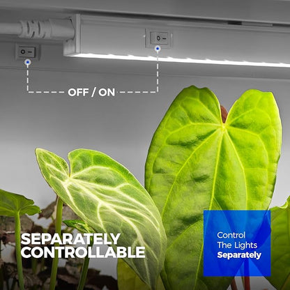 Barrina T5 Grow Lights for Indoor Plants, 5000K Full Spectrum, 1FT LED Growing Lamp, Plant Light Strip, for Seed Starting, Vegetables, Plug and Play, 4-Pack