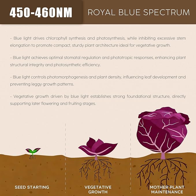 LED Plant Grow Light Bulb, 15W LED Aquarium Blue Light Blub with Royal Blue 450-460nm for Indoor Plants Veg and Aquarium Plants Growing, for Optimal Plant Structure & Form