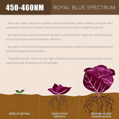 LED Plant Grow Light Bulb, 15W LED Aquarium Blue Light Blub with Royal Blue 450-460nm for Indoor Plants Veg and Aquarium Plants Growing, for Optimal Plant Structure & Form