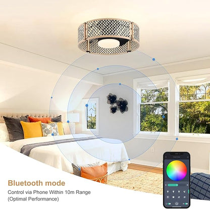 Ganeed 20" Boho Caged Fandelier with Lights, 18W Dimmable LED Rattan Ceiling Fan with Lights and Remote Control, Enclosed 6 Speeds/RGB Low Profile Bamboo Fan Light for Bedroom, Living Room, Kitchen