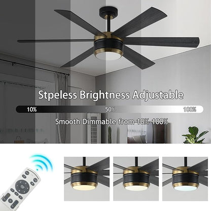 SHOWDI Ceiling Fan with Lights and Remote, 6 Blade App Control Timer Reversible Stepless Brightness and Color Temperature Outdoor Wood Ceiling Fan with Lights (Black-Gold, 56 Inch)