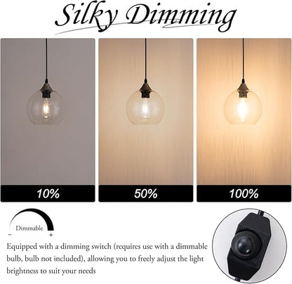 Clear Raindrop Glass Pendant Light Seeded Bubble Glass Shade Plug in Swag Lamp with Dimmable Switch 16.4 Ft Cord for Kitchen Island Dining Room Modern Farmhouse （Bulb not Included）