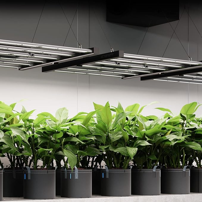 AC Infinity IONFRAME EVO8, Samsung LM301H EVO Bar LED Grow Light 5x5, 2688 Diodes, with Schedule Controller, 730W Full-Spectrum Commercial Plant Lights for Indoor Growing in Grow Rooms & Greenhouses