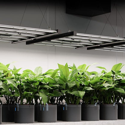 AC Infinity IONFRAME EVO8, Samsung LM301H EVO Bar LED Grow Light 5x5, 2688 Diodes, with Schedule Controller, 730W Full-Spectrum Commercial Plant Lights for Indoor Growing in Grow Rooms & Greenhouses