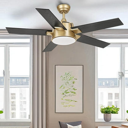 YITAHOME Black Gold Ceiling Fan with Light and Wall Switch Remote, 52 Inch Modern Ceiling Fan, Quiet Reversible Motor, Dimmable Fan with Light for Bedroom Living Room Patio Indoor