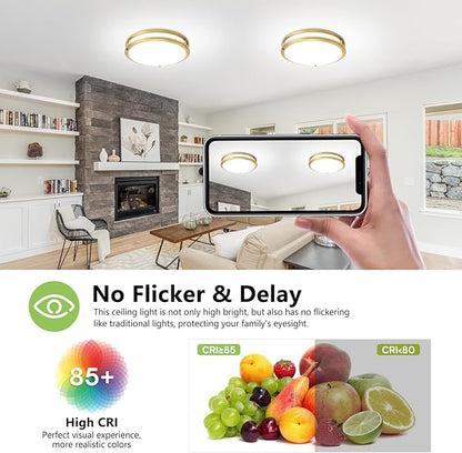 Flush Mount Ceiling Light - 2 Pack 36W 3000K/3500K/4000K/5000K/6000K Dimmable Led Ceiling Light Fixture for Kitchen Hallway Bedroom Bathroom (2, Brushed Gold, 12 Inch)