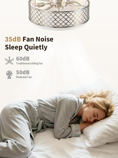 20" Silver Flush Mount Ceiling Fan with Light, Boho Ceiling Fans with Lights Low Profile, Enclosed with Remote Control 6 Speeds for Living Room, Bedroom, Nursery